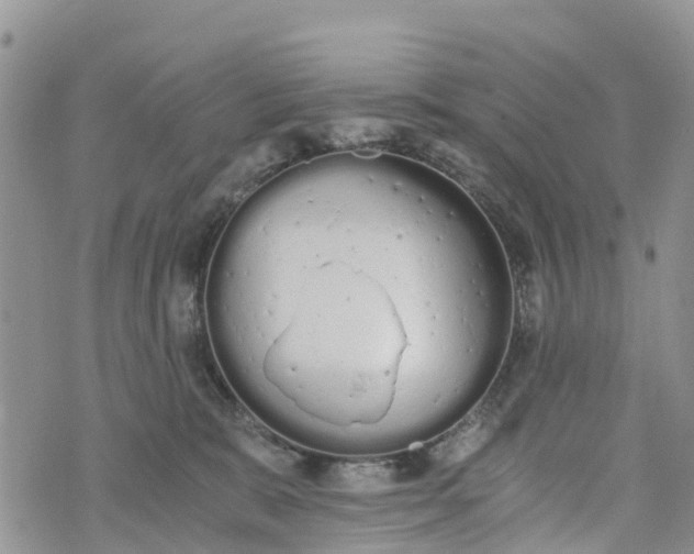 X0000073450327200608111356