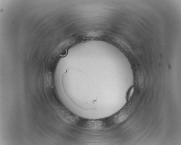 X0000073450328200608111356