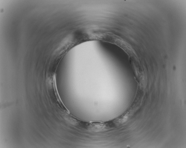 X0000073450329200608111356