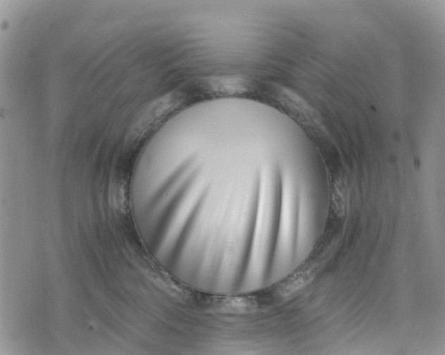 X0000073450330200608111356