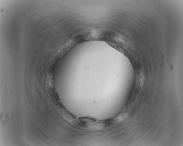 X0000073450331200608111356