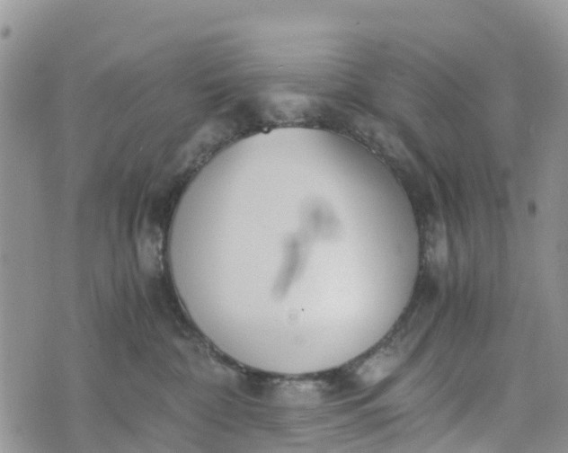 X0000073450332200608111356