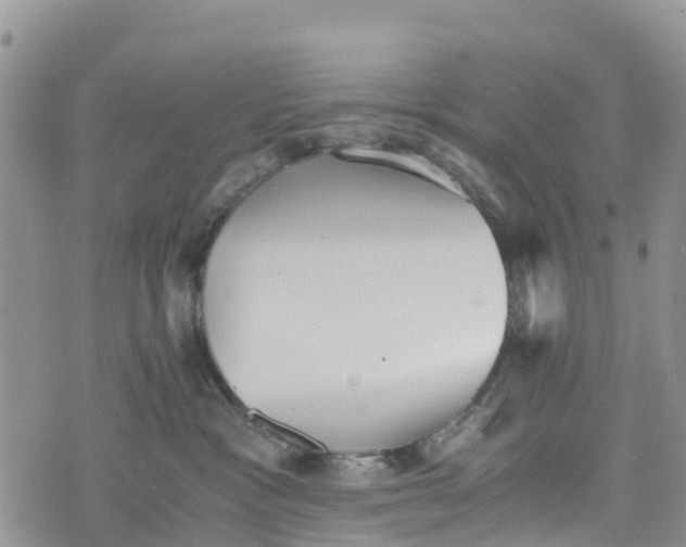 X0000073450333200608111356