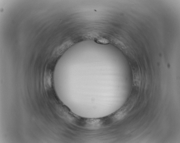 X0000073450334200608111356