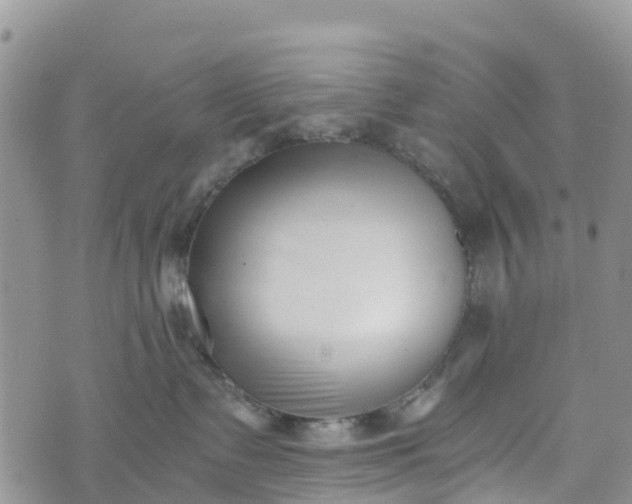 X0000073450335200608111356