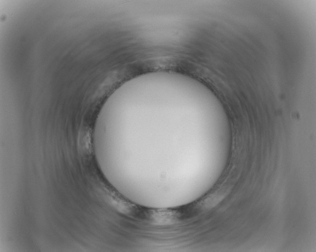 X0000073450336200608111356