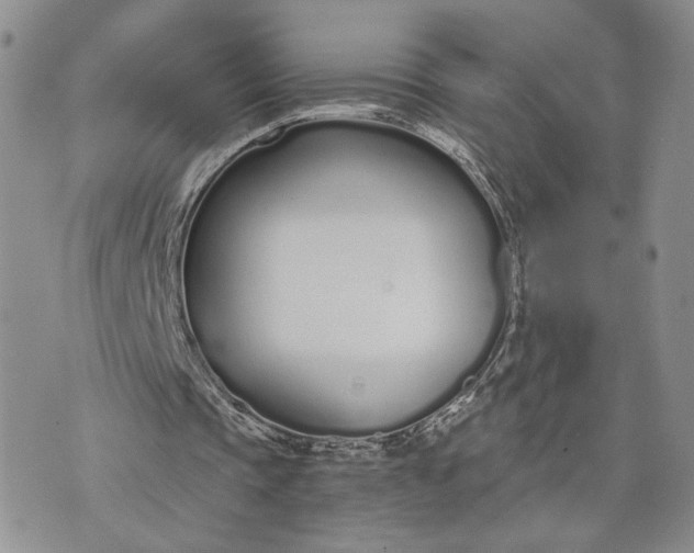 X0000073450337200608111355