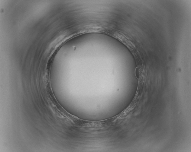 X0000073450338200608111355