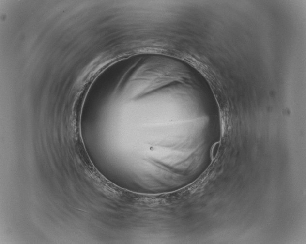 X0000073450339200608111355