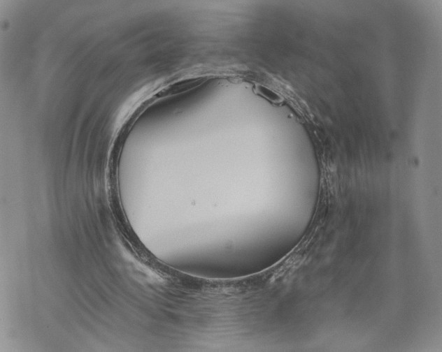 X0000073450340200608111356