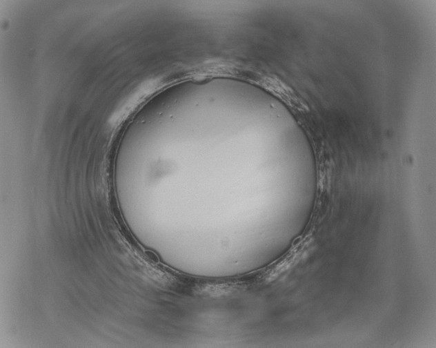 X0000073450341200608111356