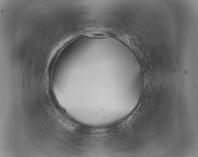 X0000073450342200608111356