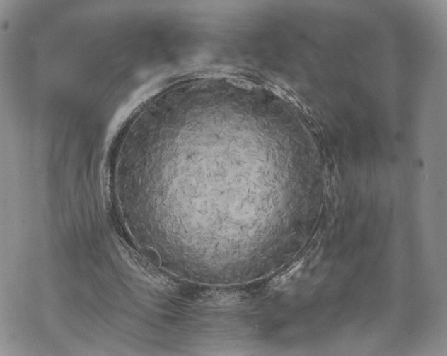 X0000073450343200608111356