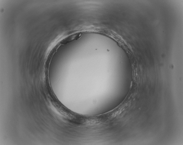 X0000073450344200608111356