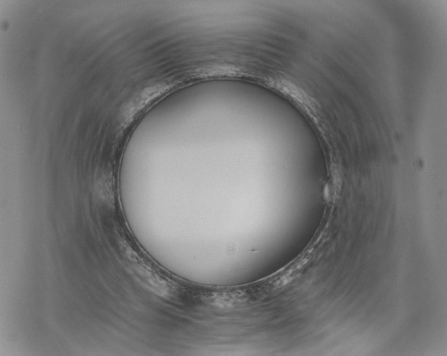 X0000073450345200608111356