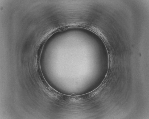 X0000073450346200608111356