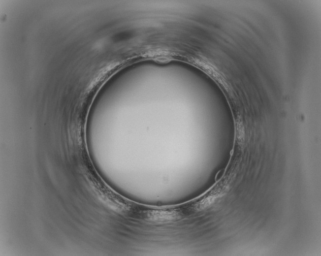 X0000073450347200608111356