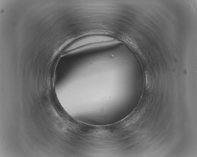 X0000073450348200608111356