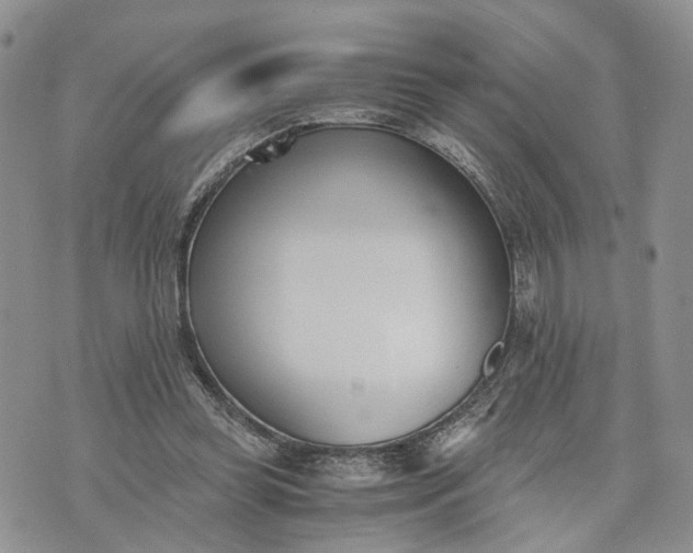 X0000073450349200608111356