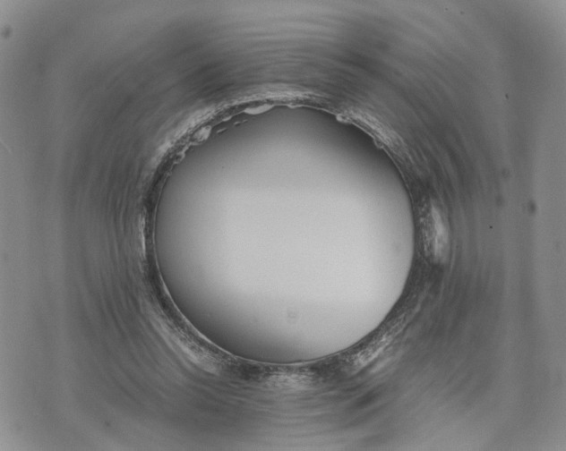 X0000073450350200608111356