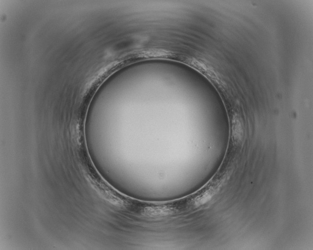 X0000073450351200608111356