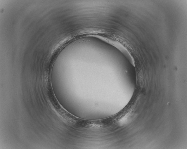 X0000073450352200608111356