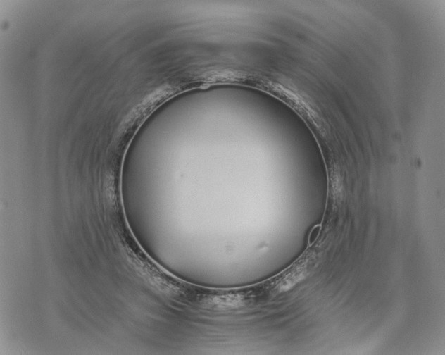 X0000073450353200608111356