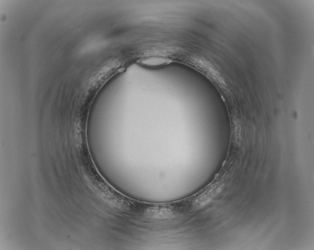 X0000073450354200608111356