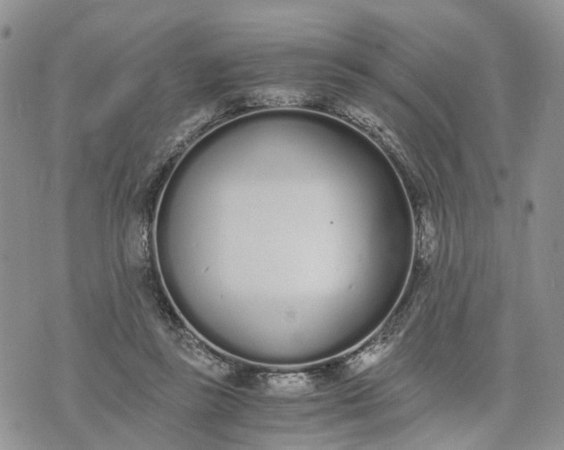 X0000073450355200608111356