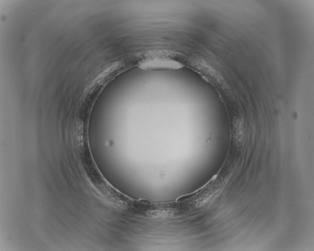 X0000073450356200608111356