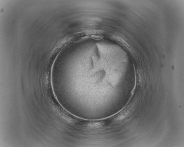 X0000073450357200608111356