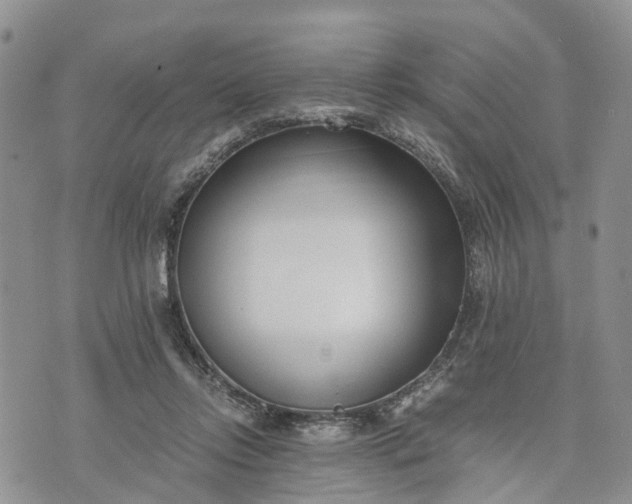 X0000073450358200608111356