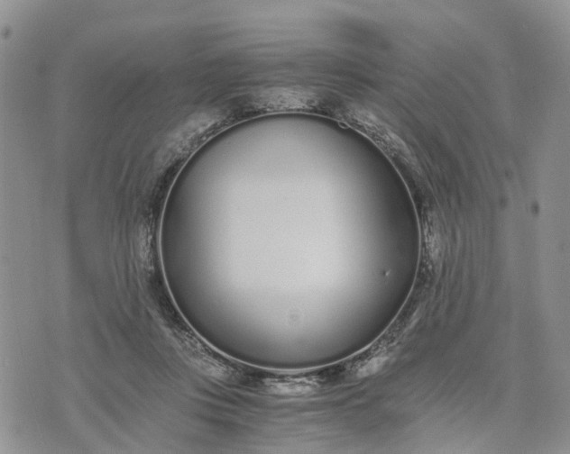 X0000073450359200608111356