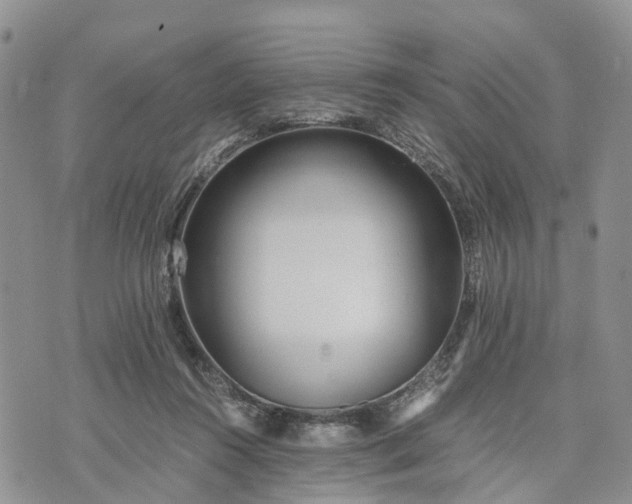 X0000073450360200608111356