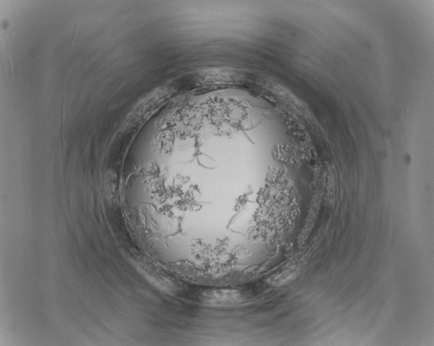 X0000073450361200608111356