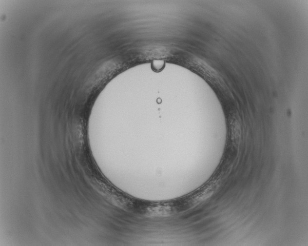 X0000073450362200608111356