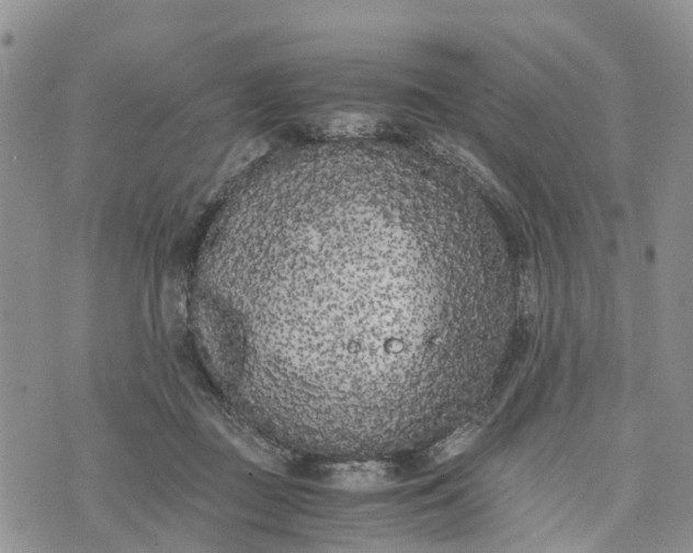 X0000073450363200608111356