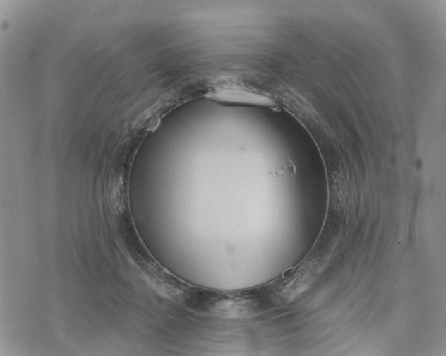 X0000073450364200608111356