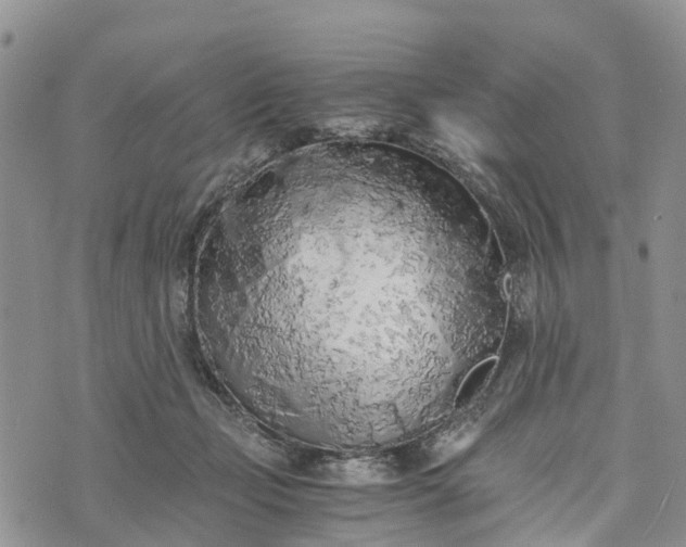 X0000073450365200608111356