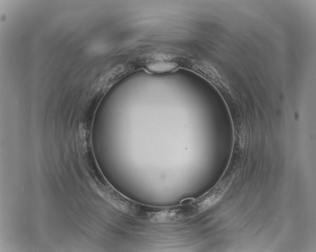 X0000073450366200608111356