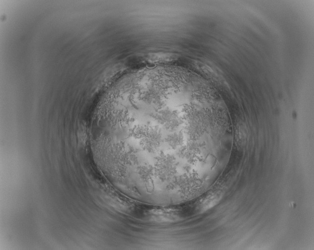 X0000073450367200608111356