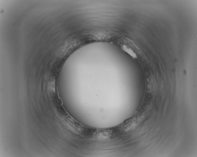 X0000073450368200608111356