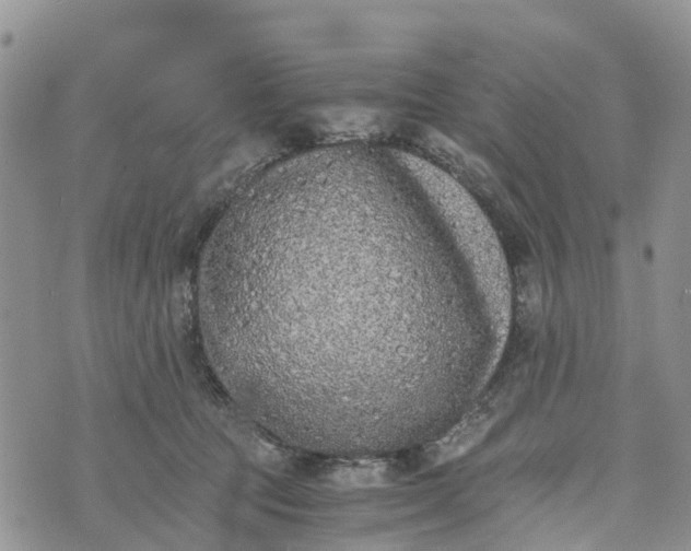 X0000073450369200608111356