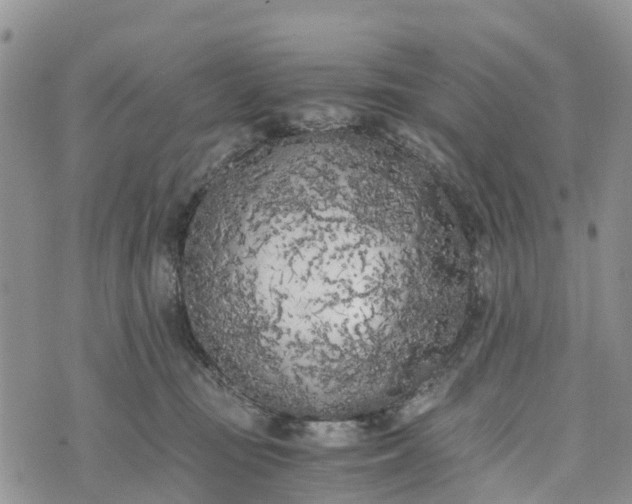 X0000073450371200608111356