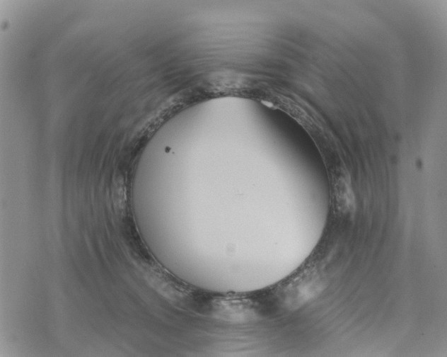 X0000073450372200608111356