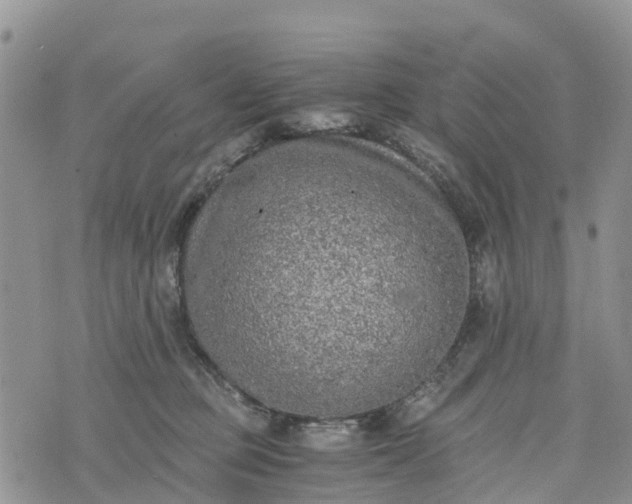 X0000073450373200608111356