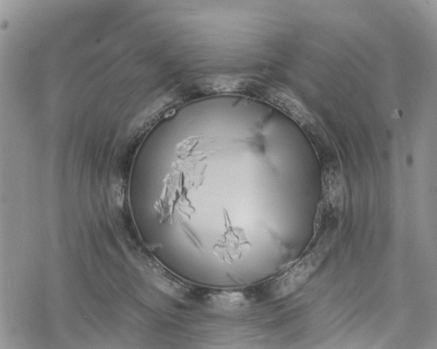 X0000073450374200608111356