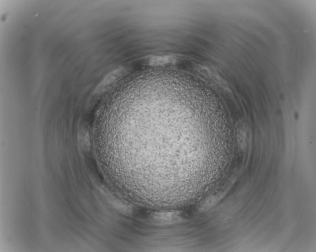 X0000073450375200608111356