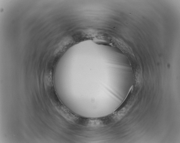 X0000073450376200608111356