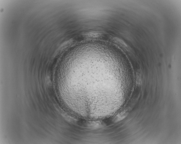 X0000073450377200608111356